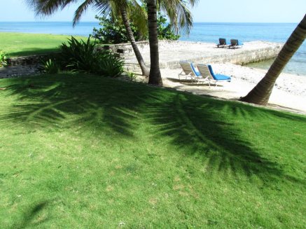 jamaica beach